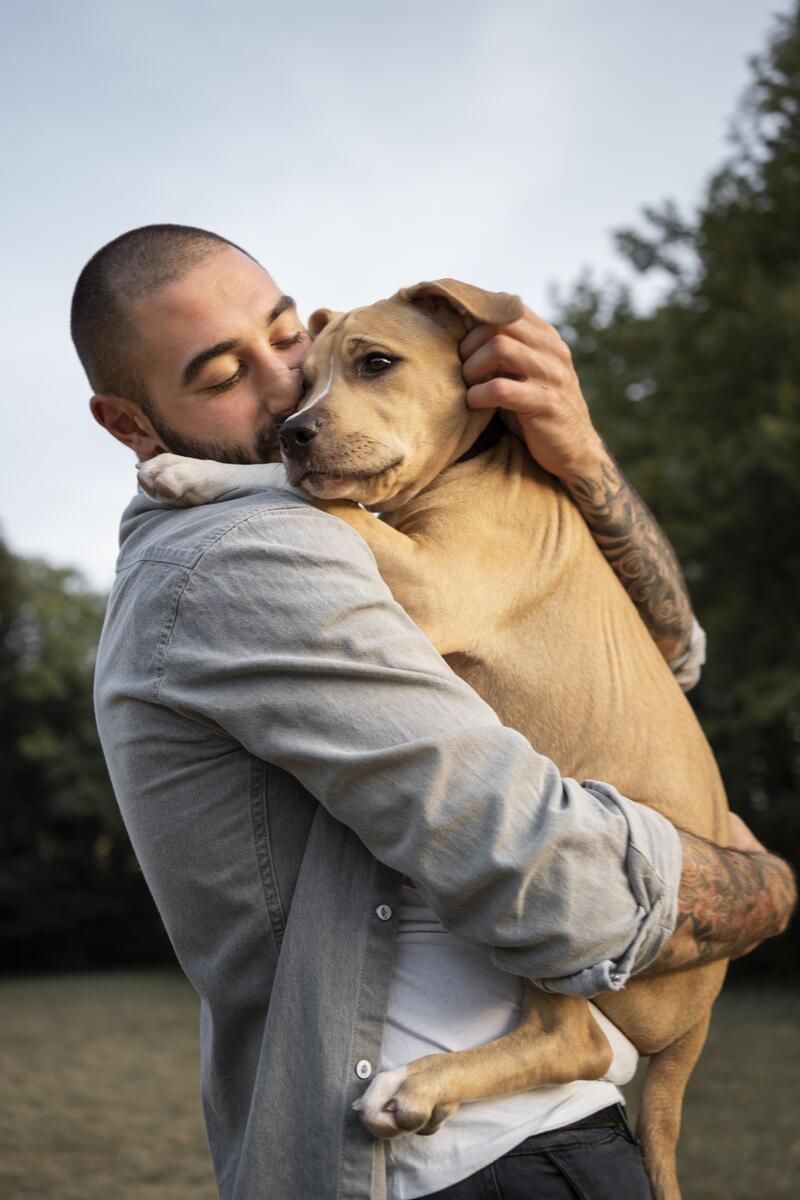 Image 1 Faites garder votre chien au sein d’une des pensions disponibles à Pont-Audemer